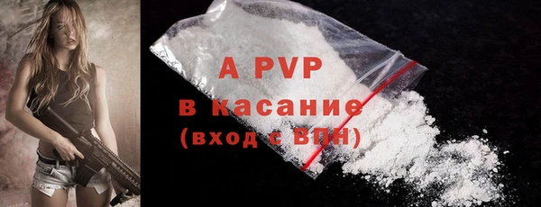 трава Корсаков