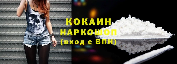 трава Корсаков