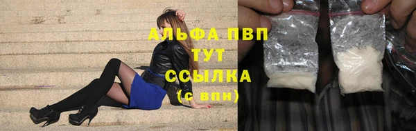 трава Корсаков