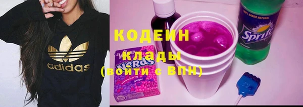 гидра Коряжма