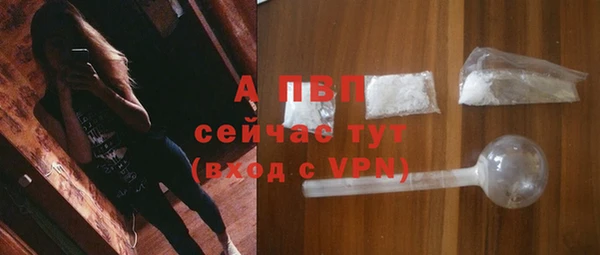 гидра Коряжма