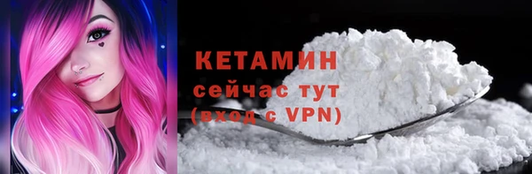 трава Корсаков
