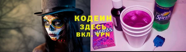 гидра Коряжма