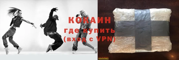гидра Коряжма