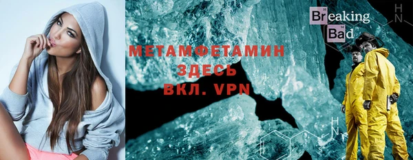 трава Корсаков