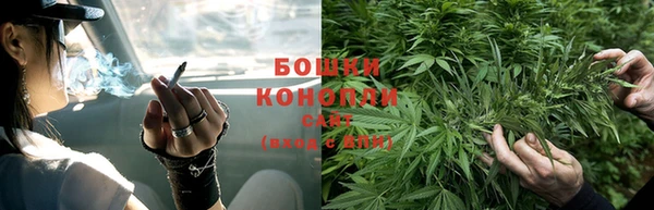 трава Корсаков