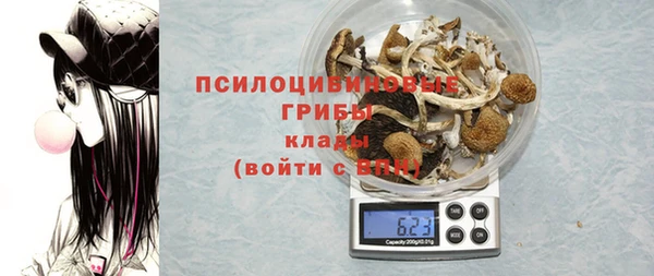 гидра Коряжма