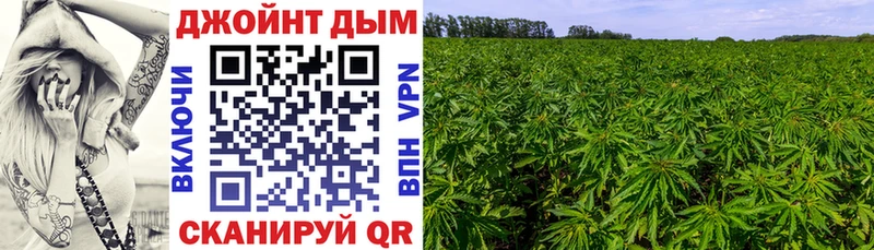 МАРИХУАНА Amnesia  Купить  Закаменск 